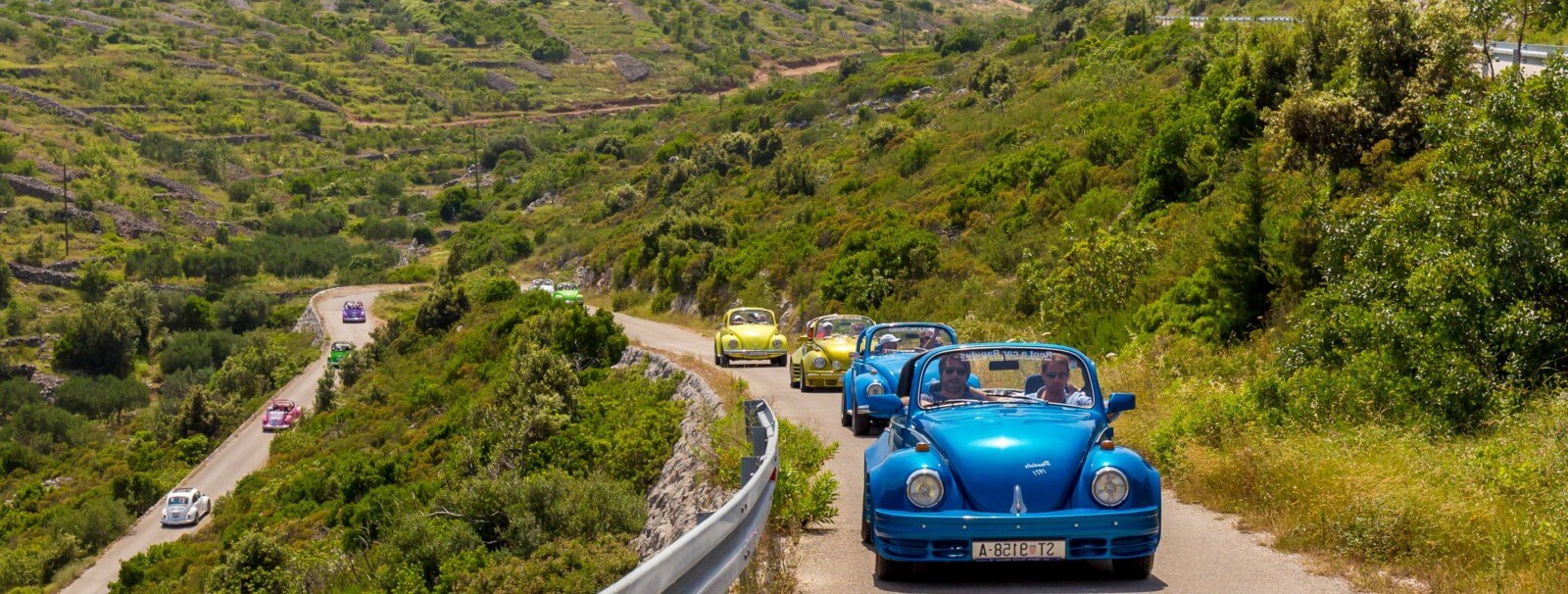Convoy of colourful vintage cars on a winding road through the Adriatic countryside